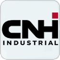 Поршни CNH 8094840